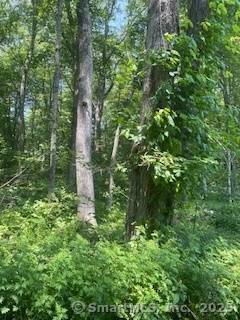 Woodbridge, CT 06525,6 Grouse Lane