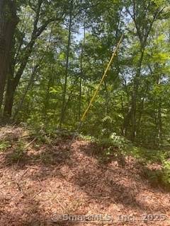 Woodbridge, CT 06525,6 Grouse Lane