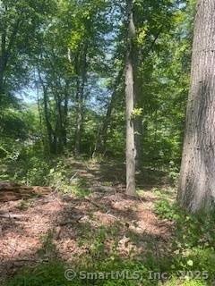 Woodbridge, CT 06525,6 Grouse Lane
