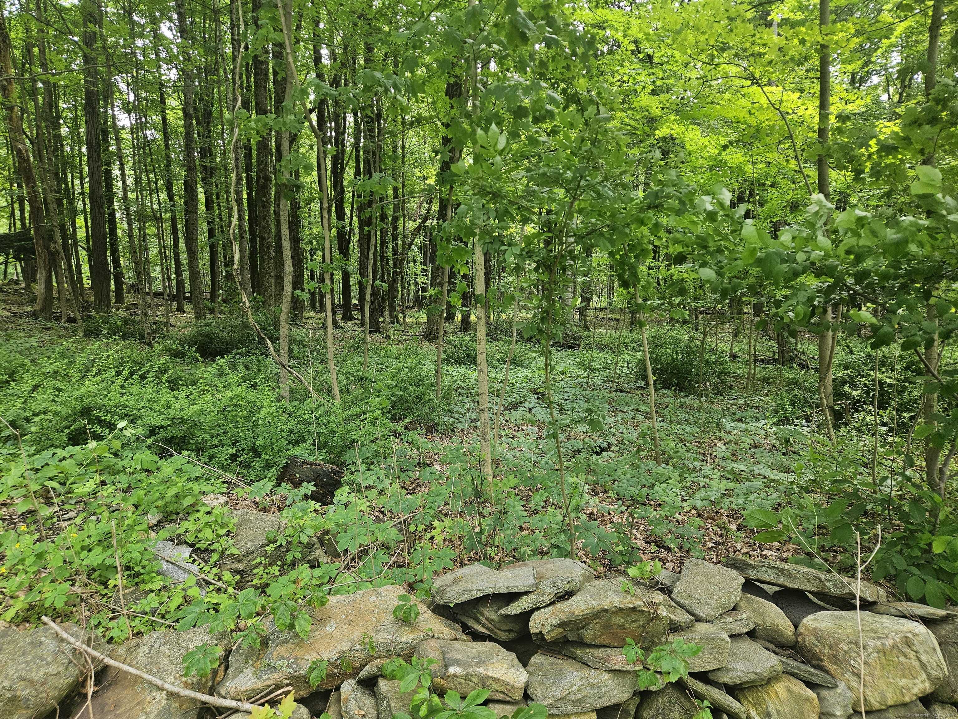 New Milford, CT 06776,0 Taylor Road
