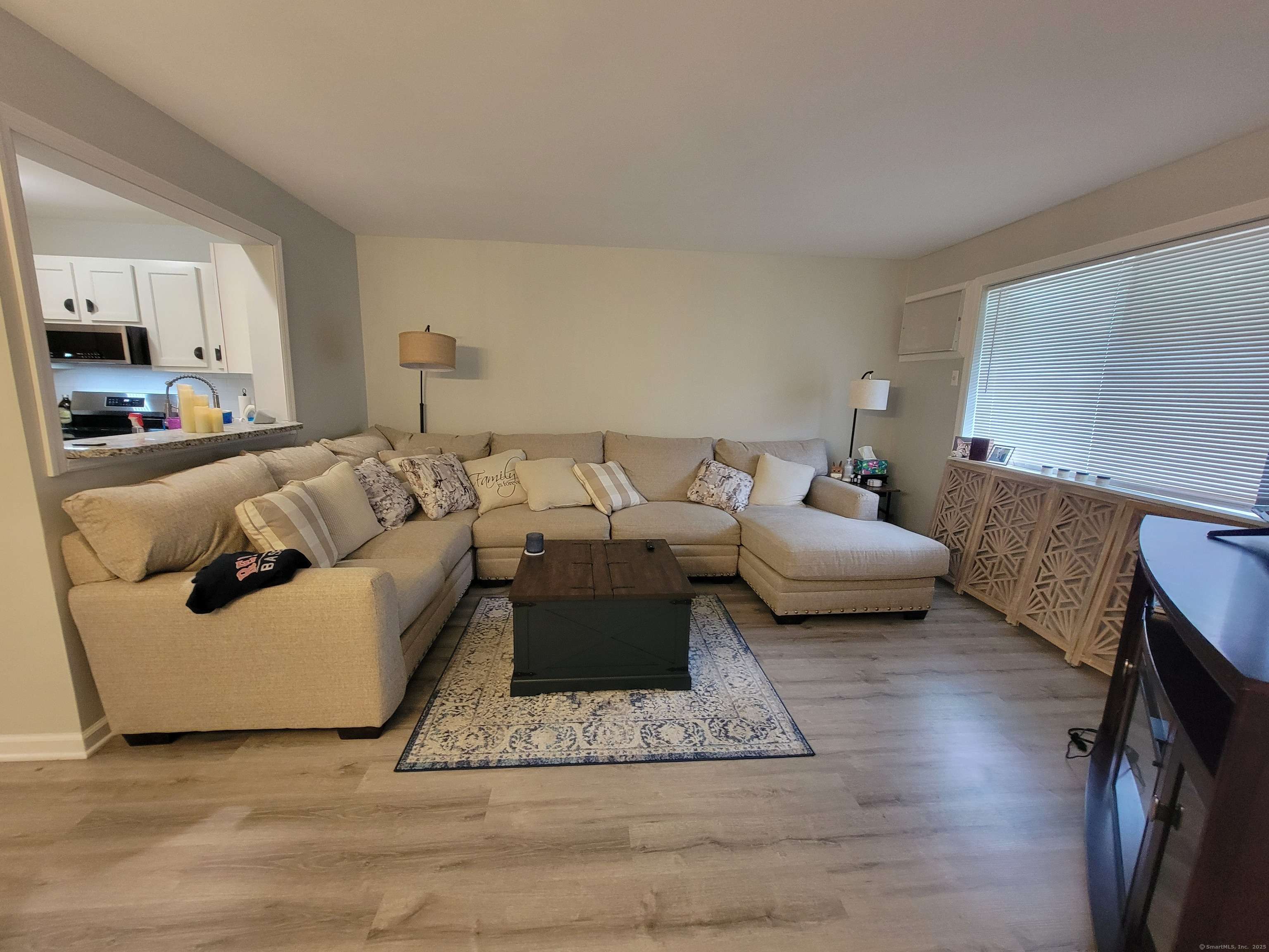 New Milford, CT 06776,39 Willow Springs #39