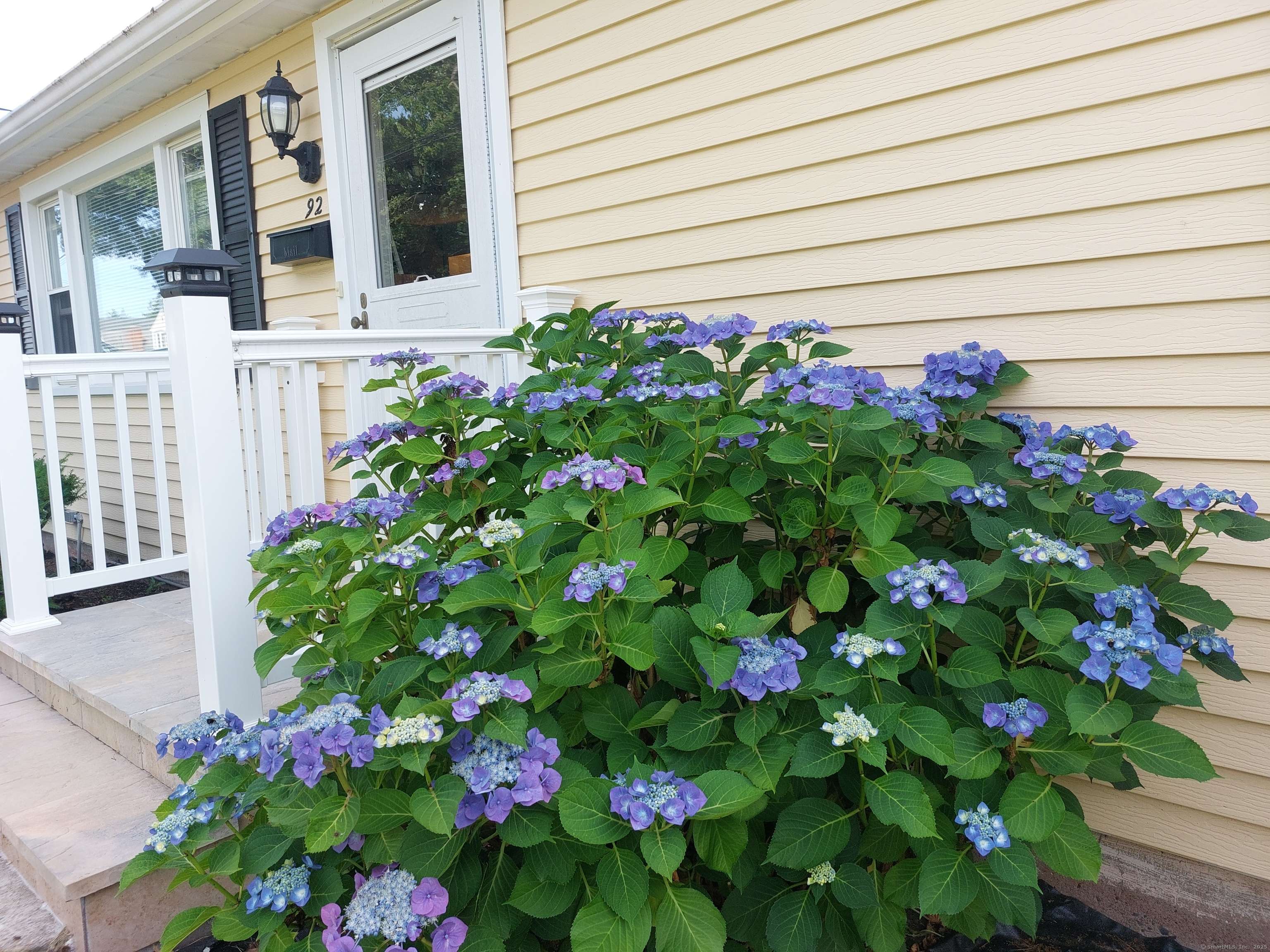 West Haven, CT 06516,92 Sumac Street