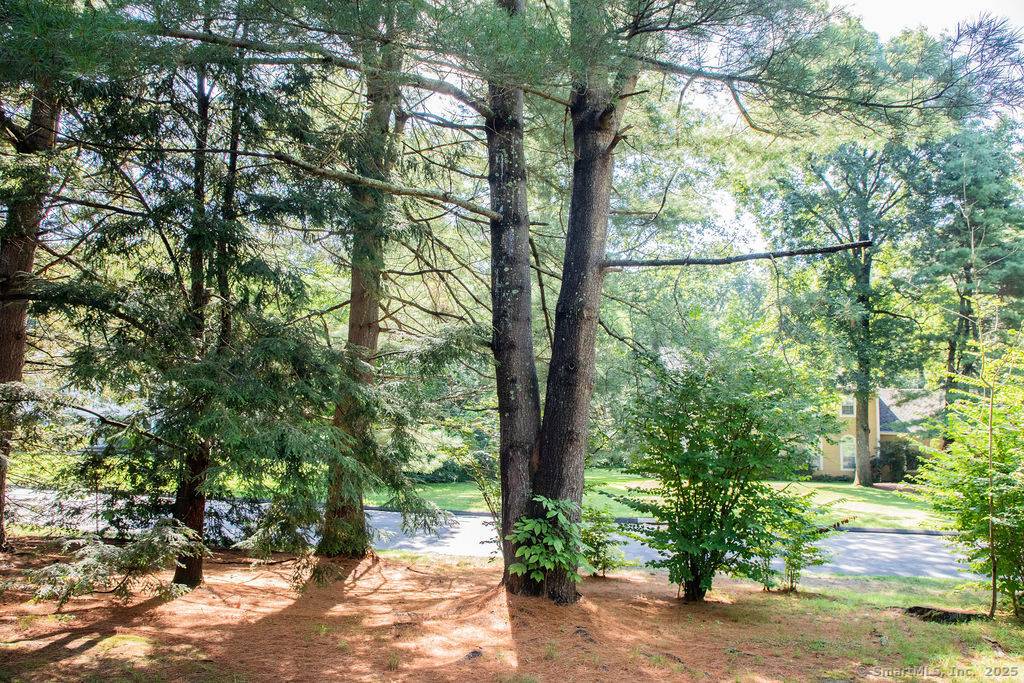 Farmington, CT 06032,3 Locust Lane #3