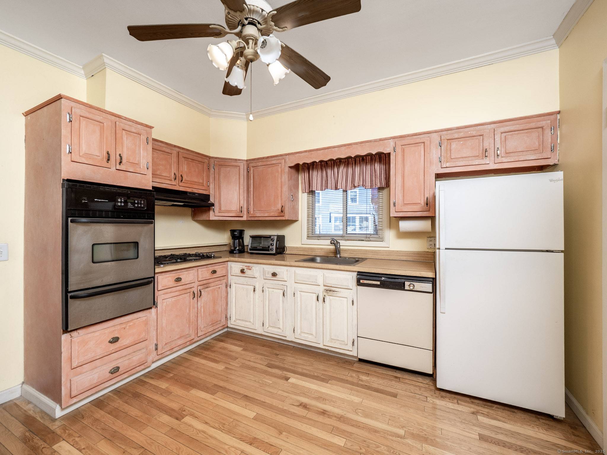 Stamford, CT 06906,62 Maple Tree Avenue #62