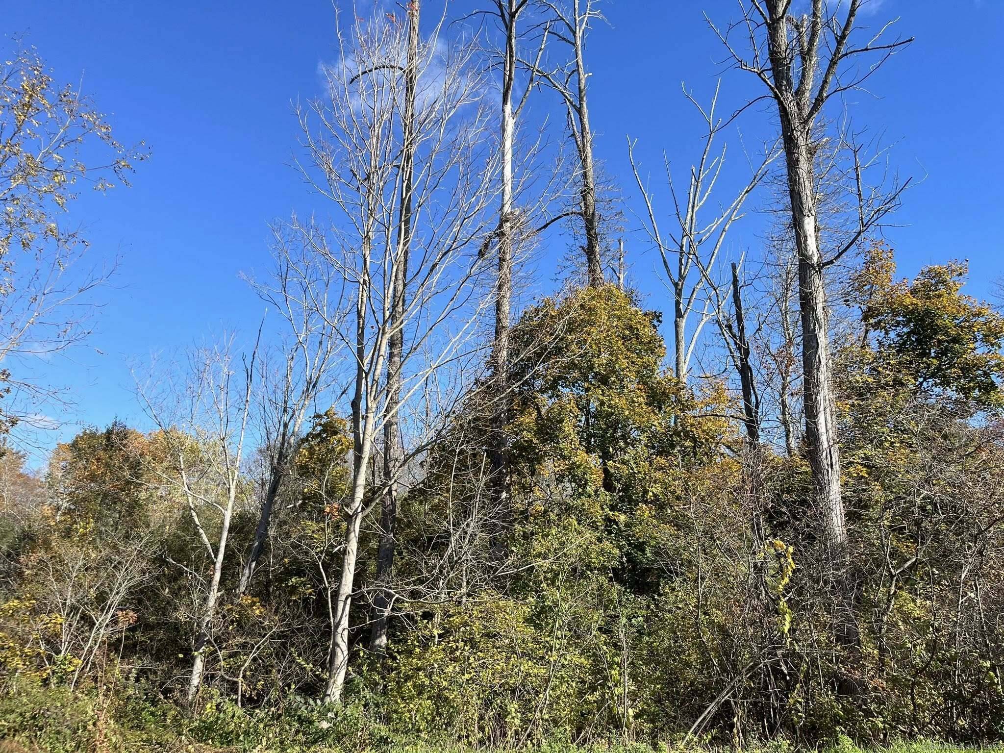 Barkhamsted, CT 06063,200 W. West Hill Rd Road