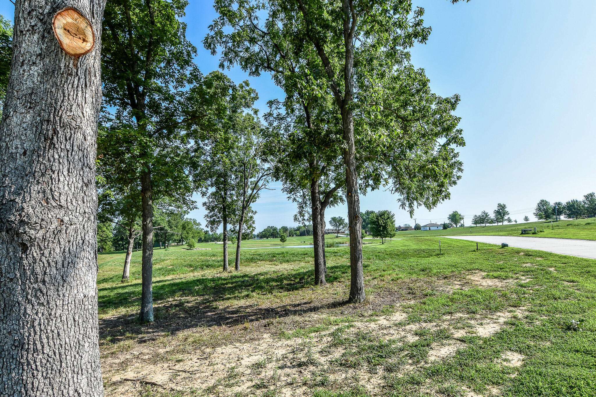 Holts Summit, MO 65043,LOT 15 Eagle lake LN