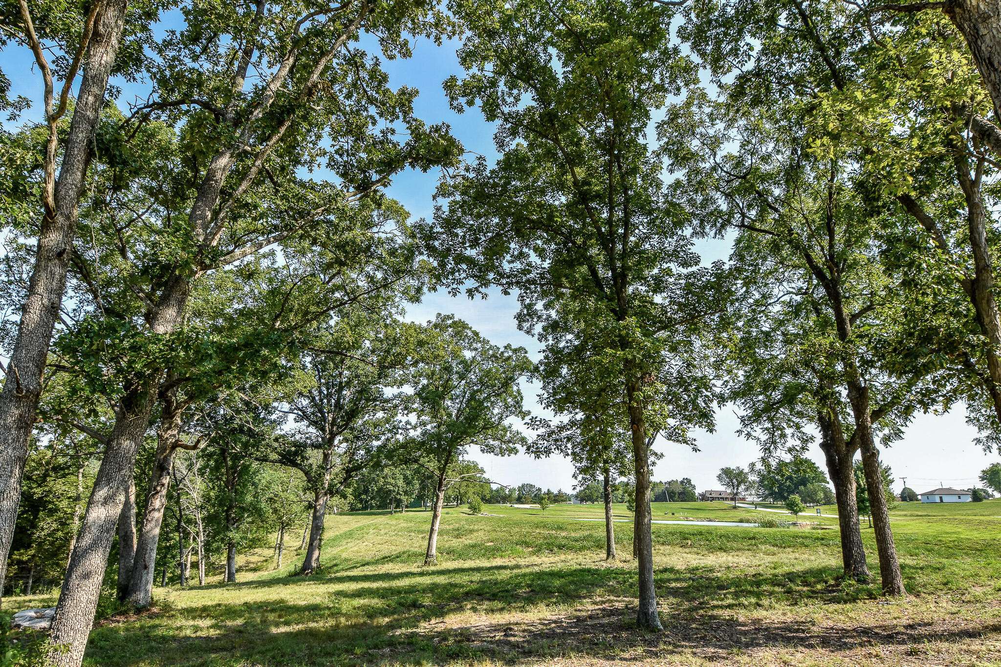 Holts Summit, MO 65043,LOT 15 Eagle lake LN