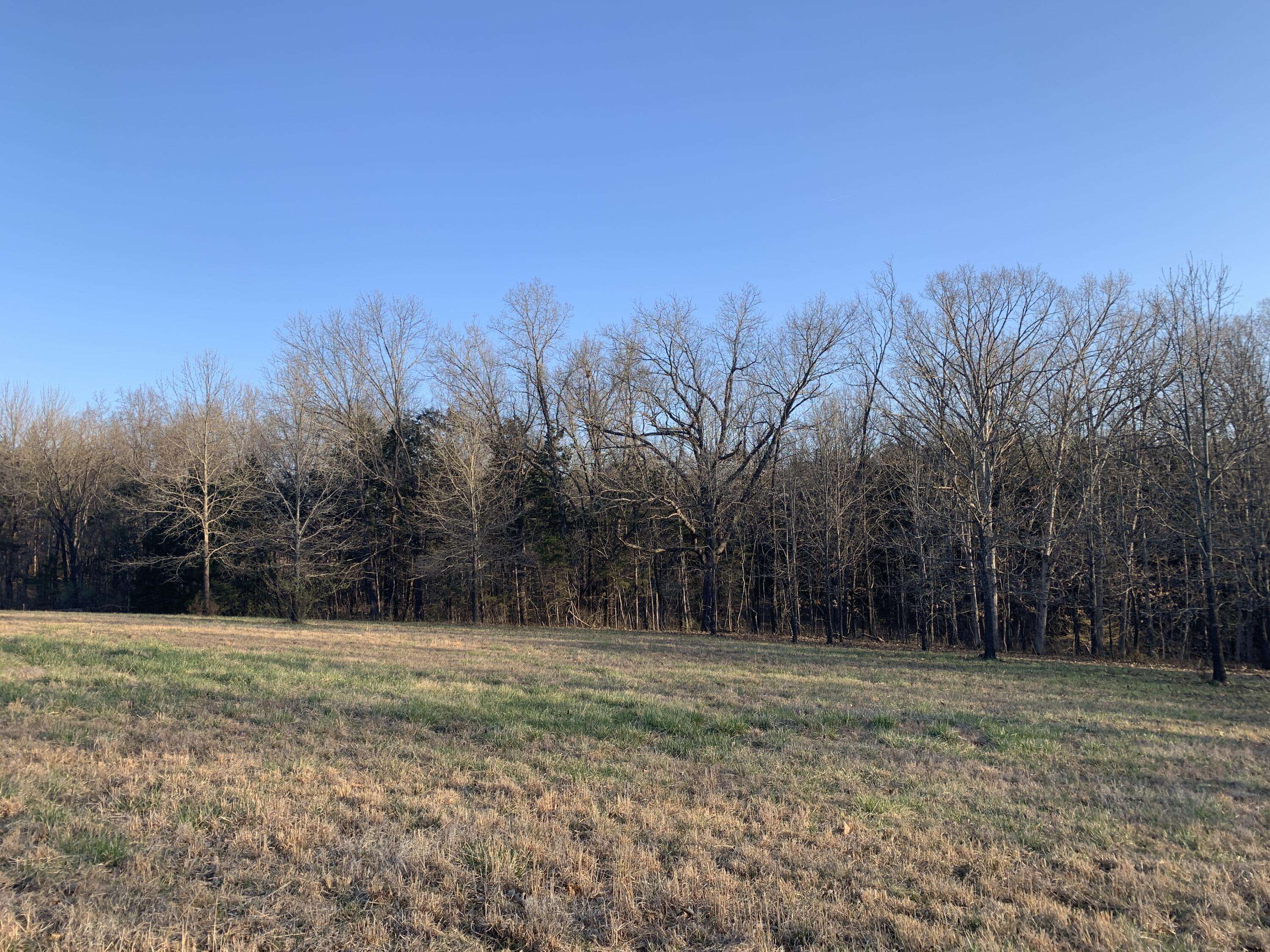 Holts Summit, MO 65043,TBD Dover DR