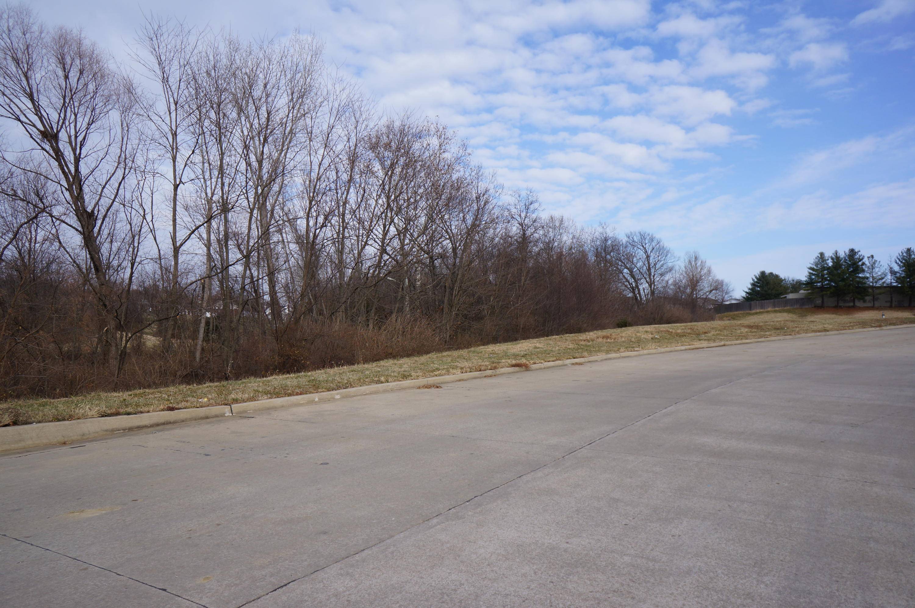 Columbia, MO 65202,LOT 4 Flanders CT