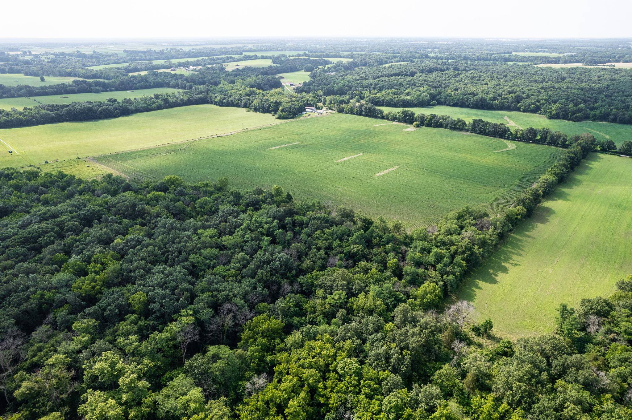 Columbia, MO 65201,52.9 ACRES E Sugar grove RD