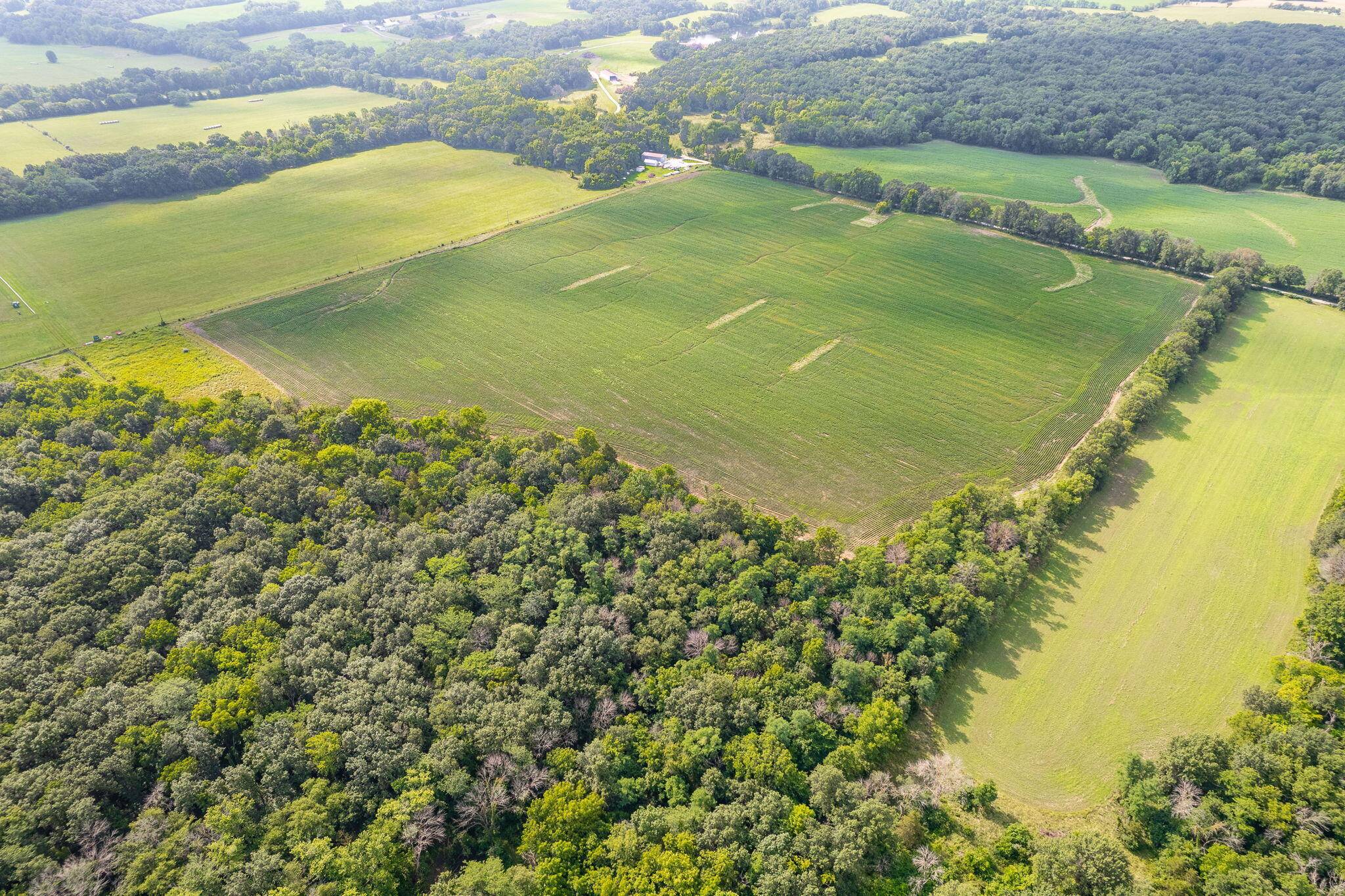 Columbia, MO 65201,52.9 ACRES E Sugar grove RD