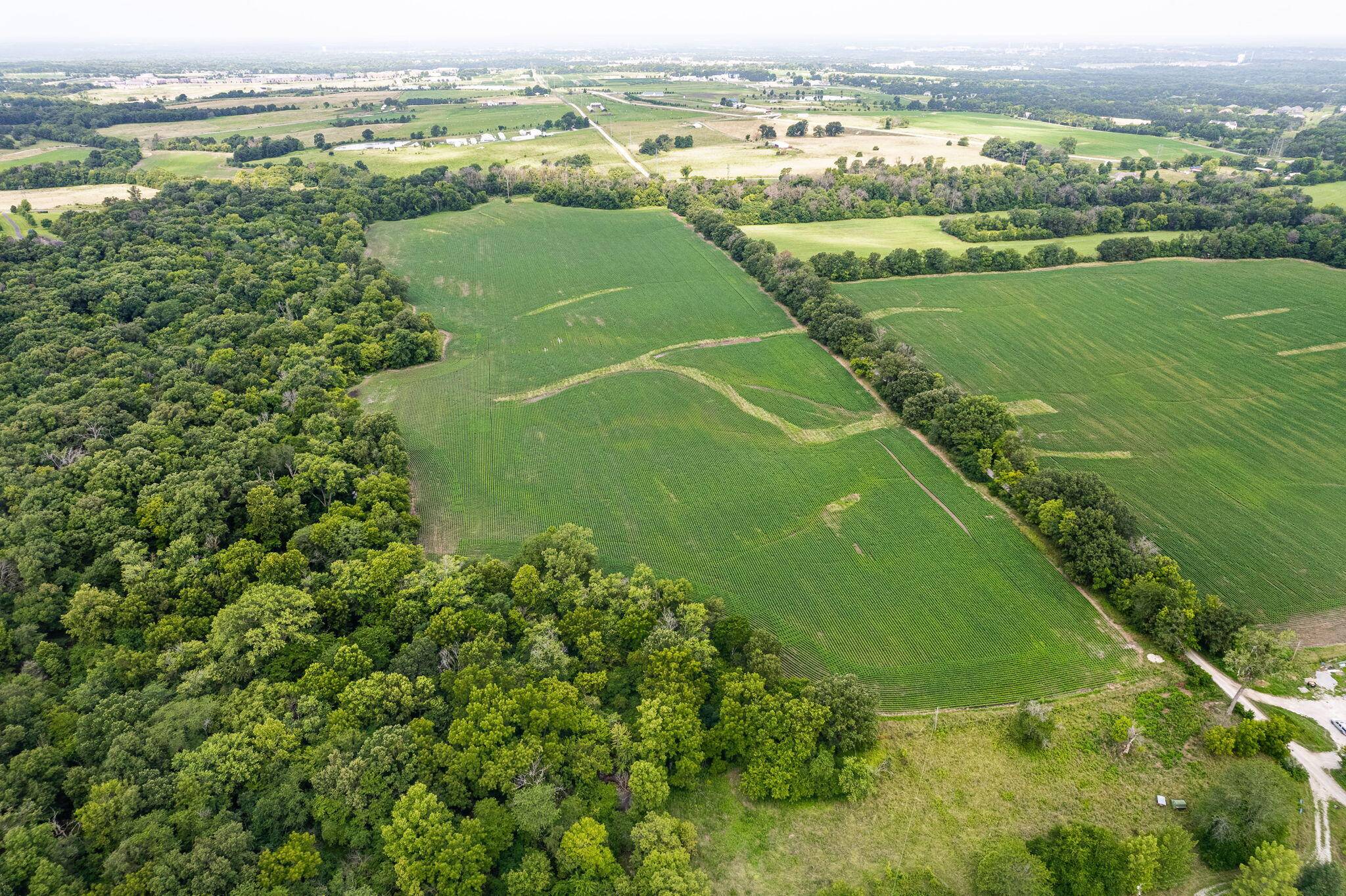 Columbia, MO 65201,101 ACRES E Sugar grove RD