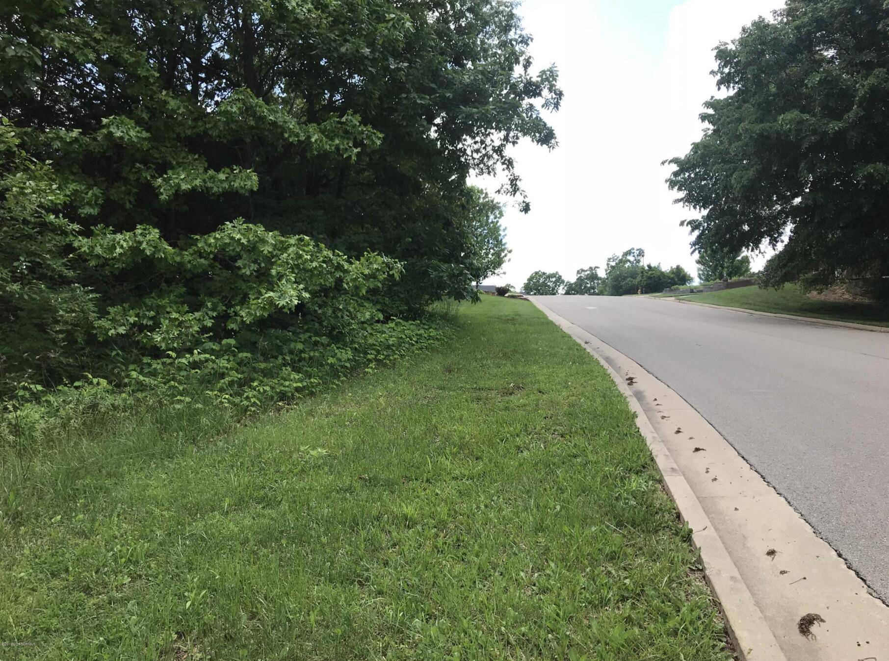 Jefferson City, MO 65109,LOT 53 Shermans hollow
