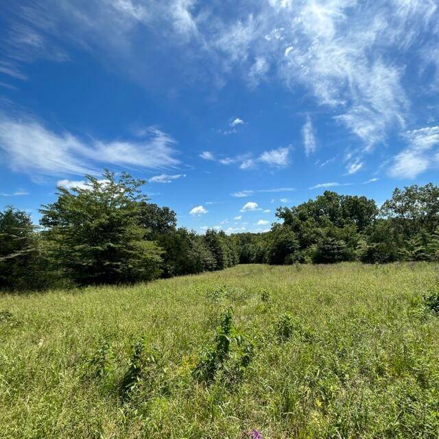 Tebbetts, MO 65080,Lot 11 county rd 4014