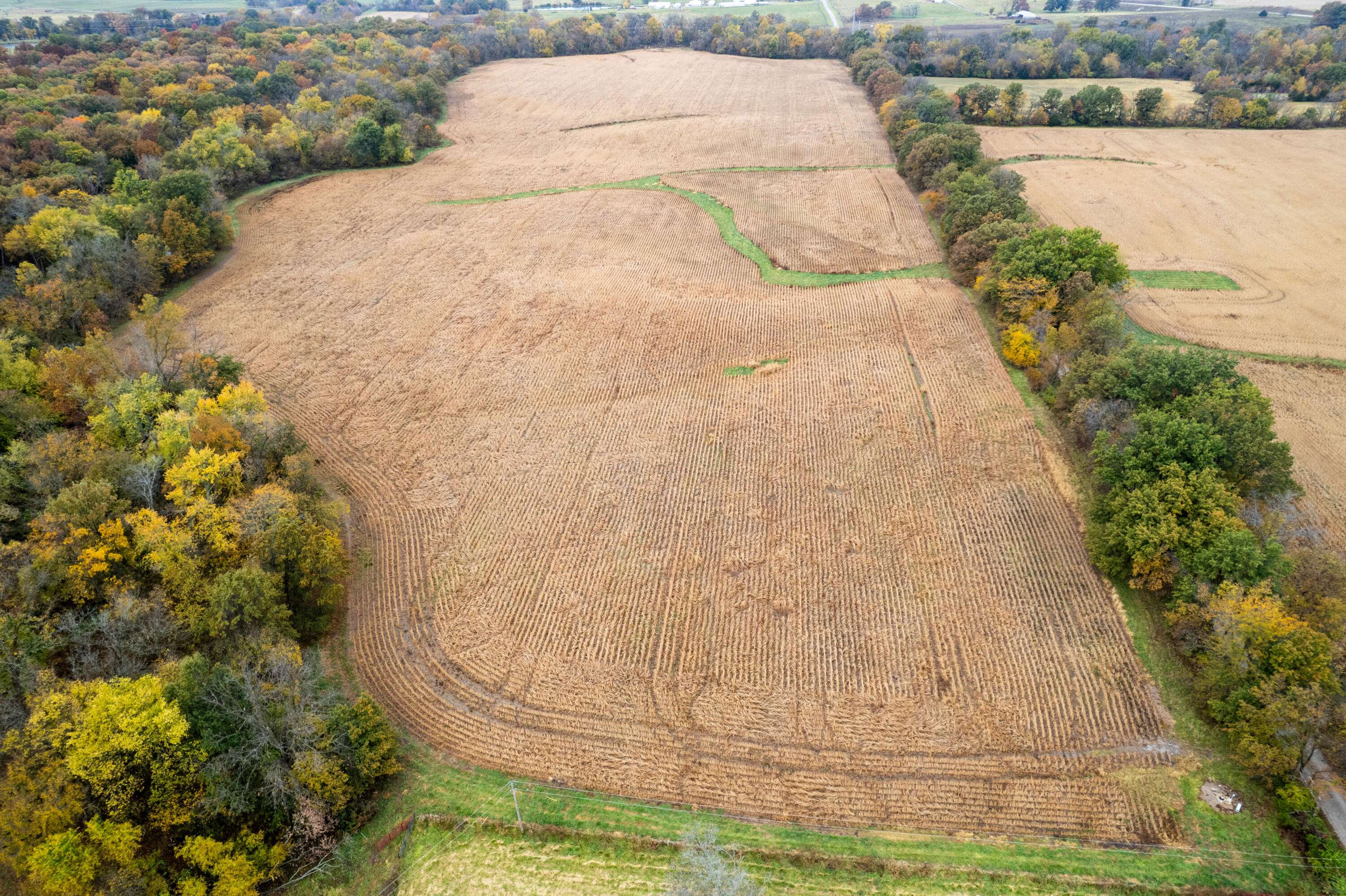 Columbia, MO 65201,81.51 acres e sugar grove RD