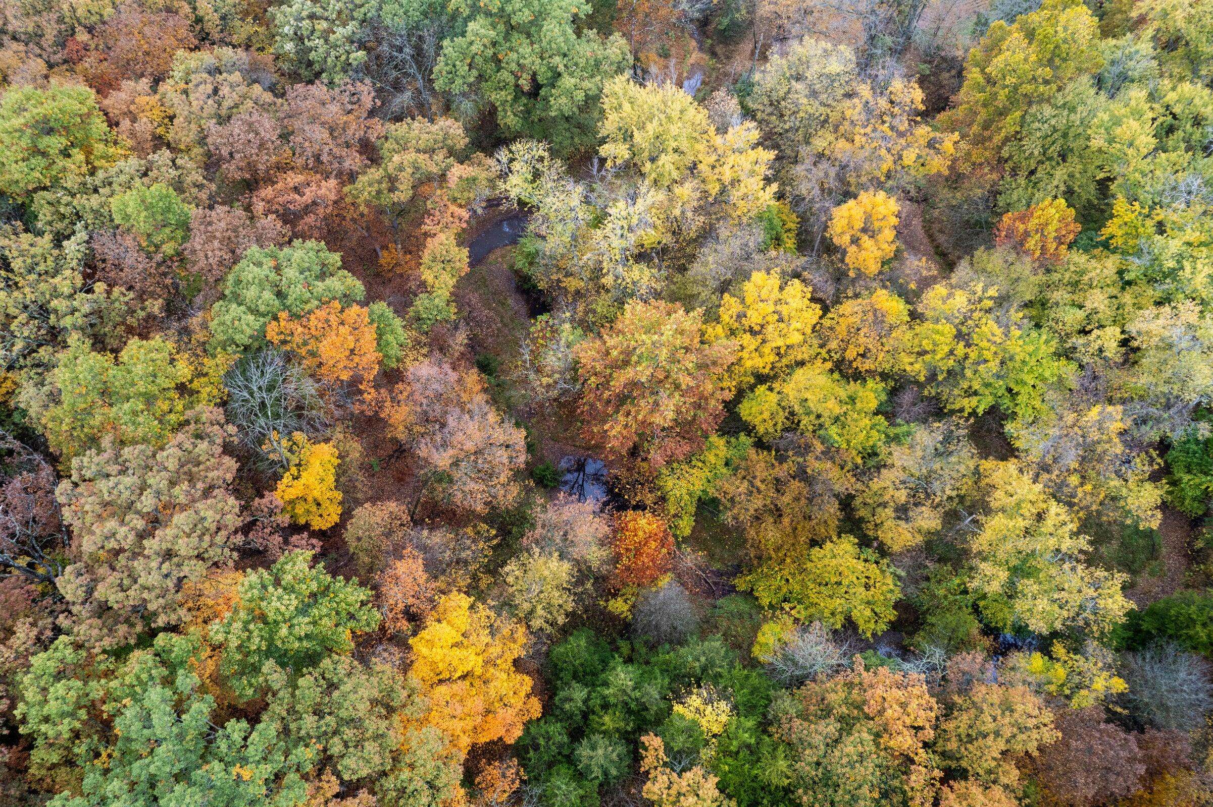 Columbia, MO 65201,20 acres e sugar grove rd RD