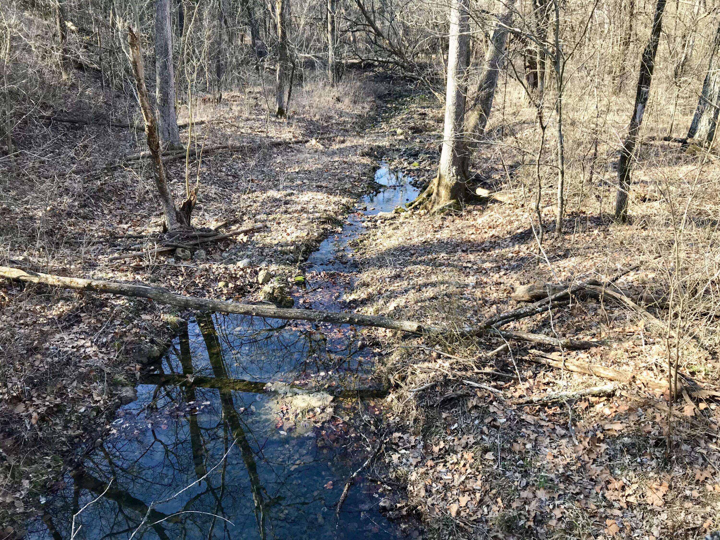 Tipton, MO 65081,107 AC Knipp rd