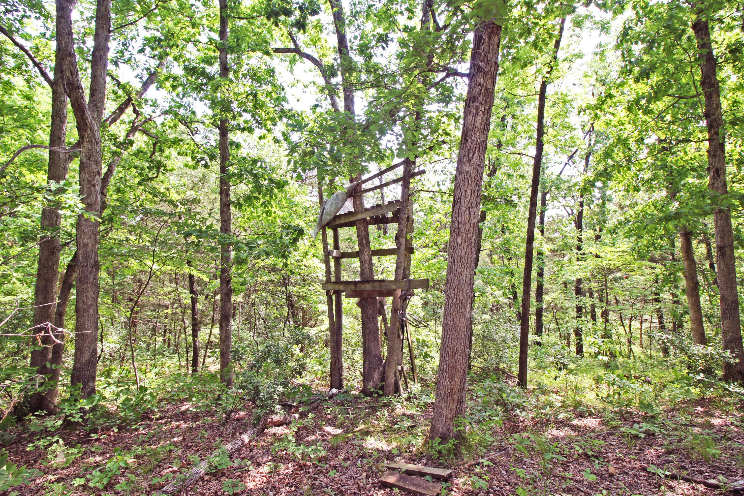 Tebbetts, MO 65080,4801 County road 480