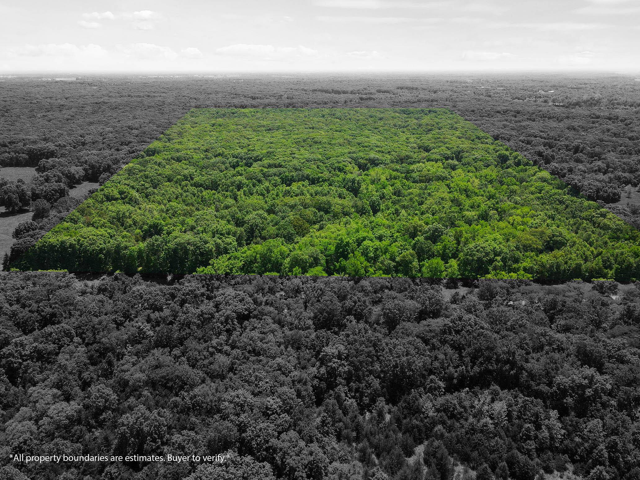 Hallsville, MO 65255,40 ACRES N Phillipe RD