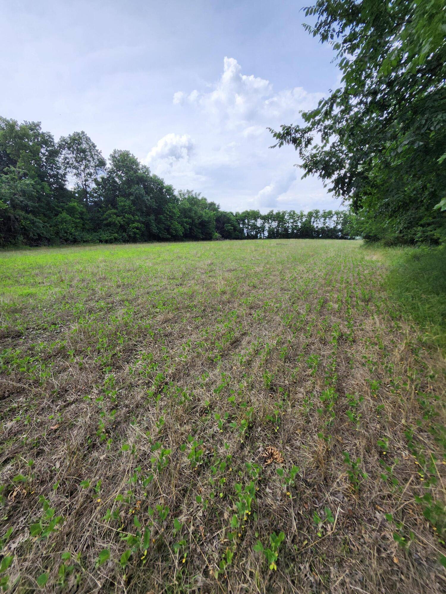 Sturgeon, MO 65284,TRACT 4 E Mchatton RD