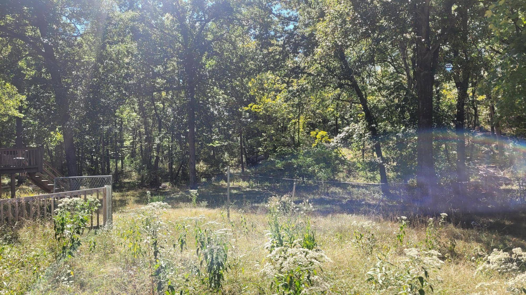 Columbia, MO 65202,7304 N Wagon trail RD