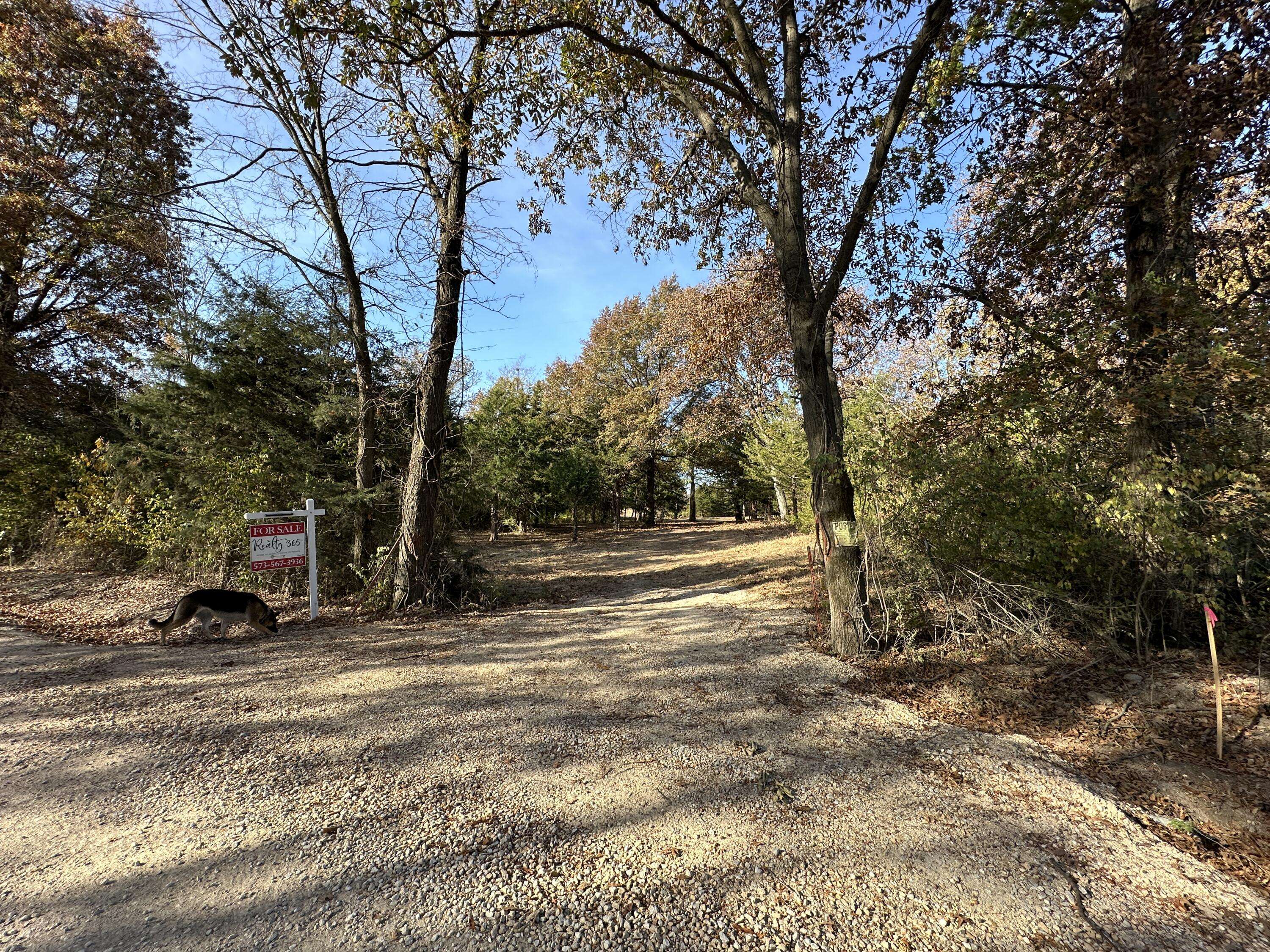 Mexico, MO 65265,TRACT 11B Audrain rd 935