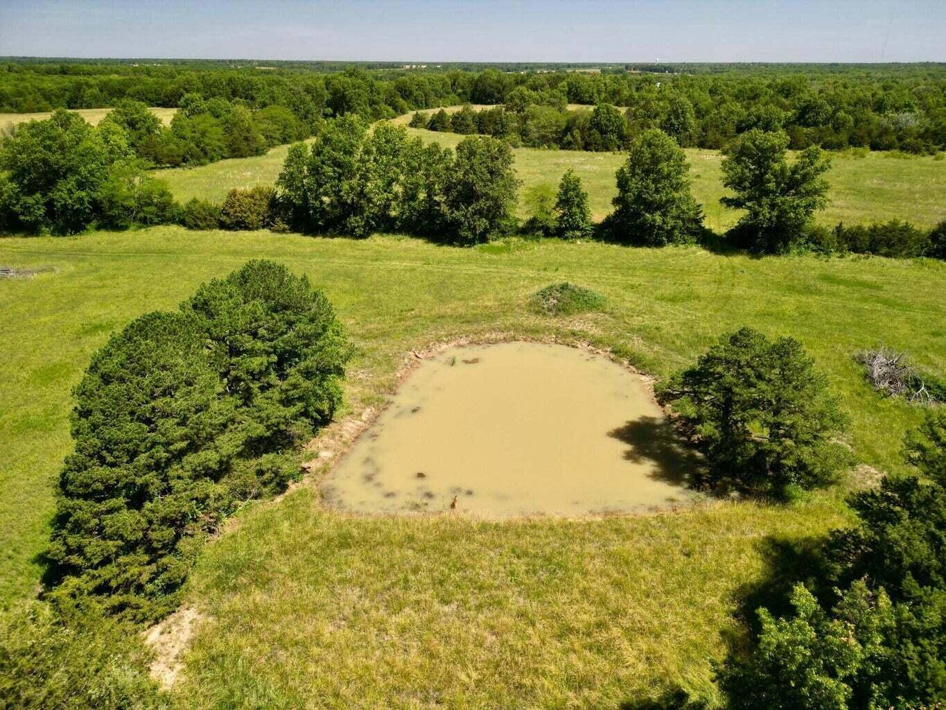 Mexico, MO 65265,TRACT 4 Hwy ff