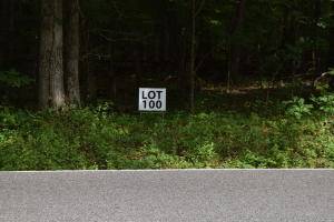 Ten Mile, TN 37880,Lot 100 Half Moon DR