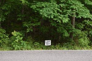 Ten Mile, TN 37880,Lot 101 Halfmoon Shores DR