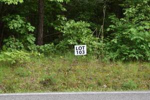 Ten Mile, TN 37880,Lot 103 Halfmoon Shores DR