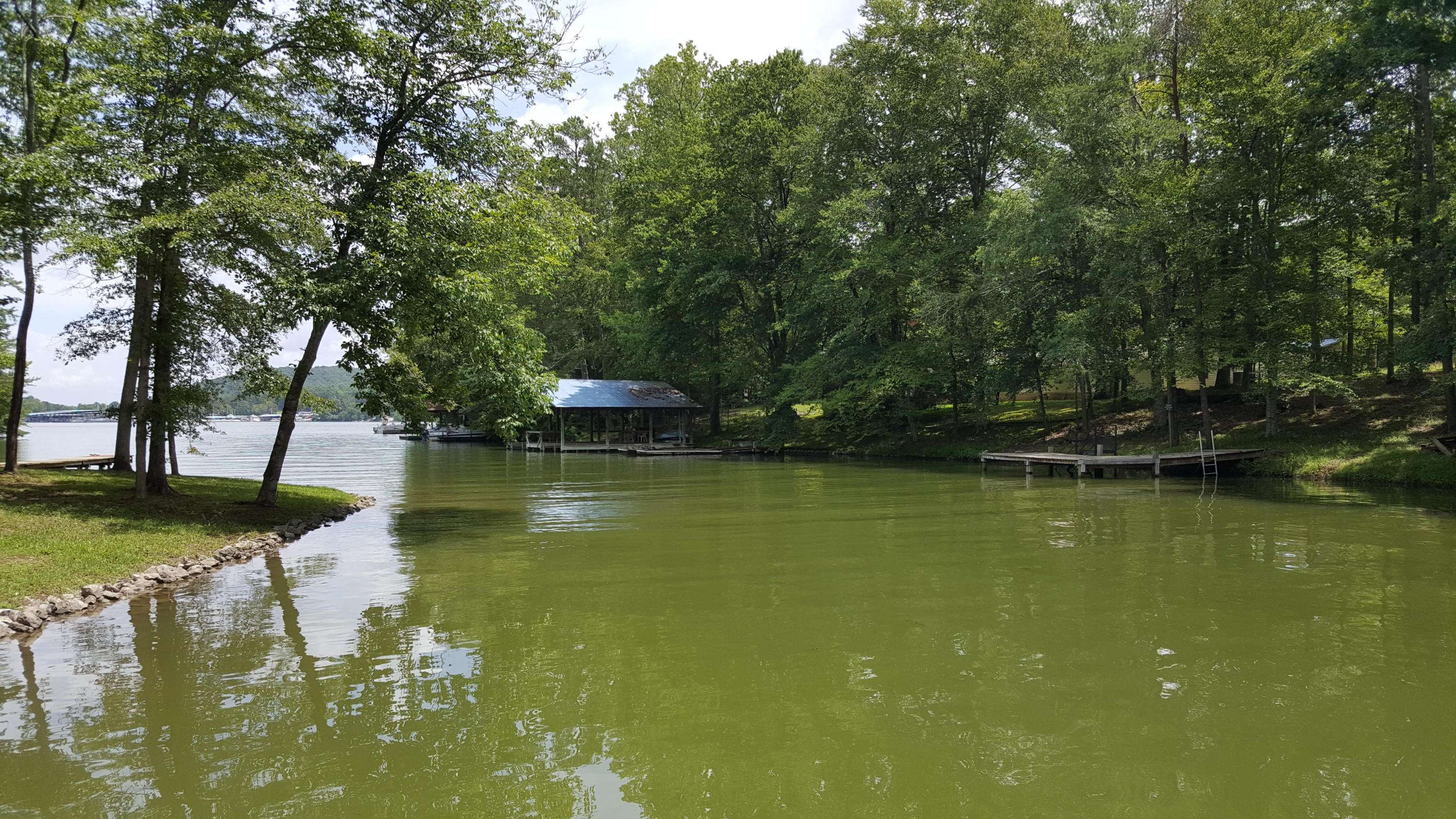 Ten Mile, TN 37880,Lot 109 Treasure Tree Rd