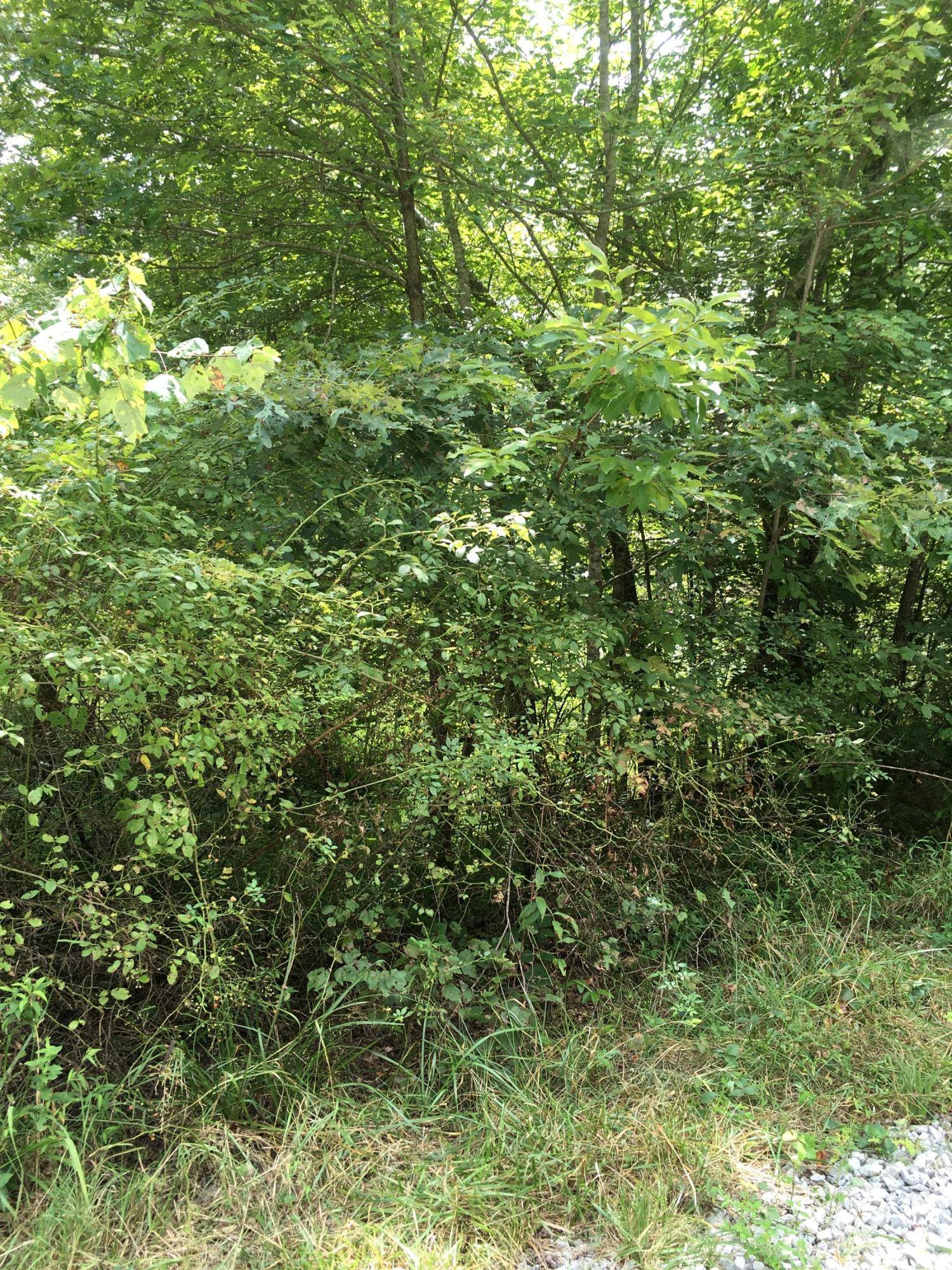 Sunbright, TN 37872,Woodland Trail