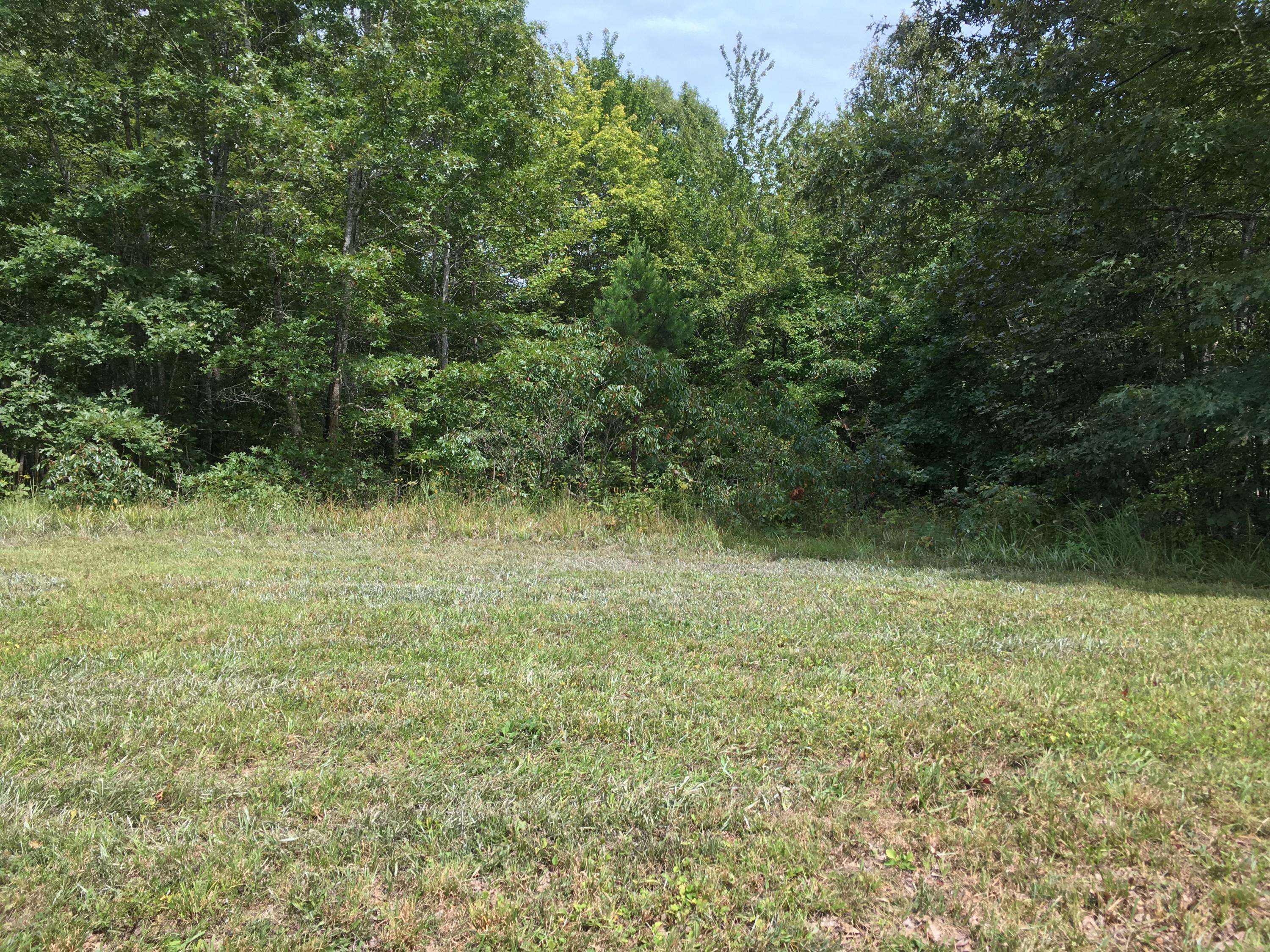 Sunbright, TN 37872,Crest View Dr