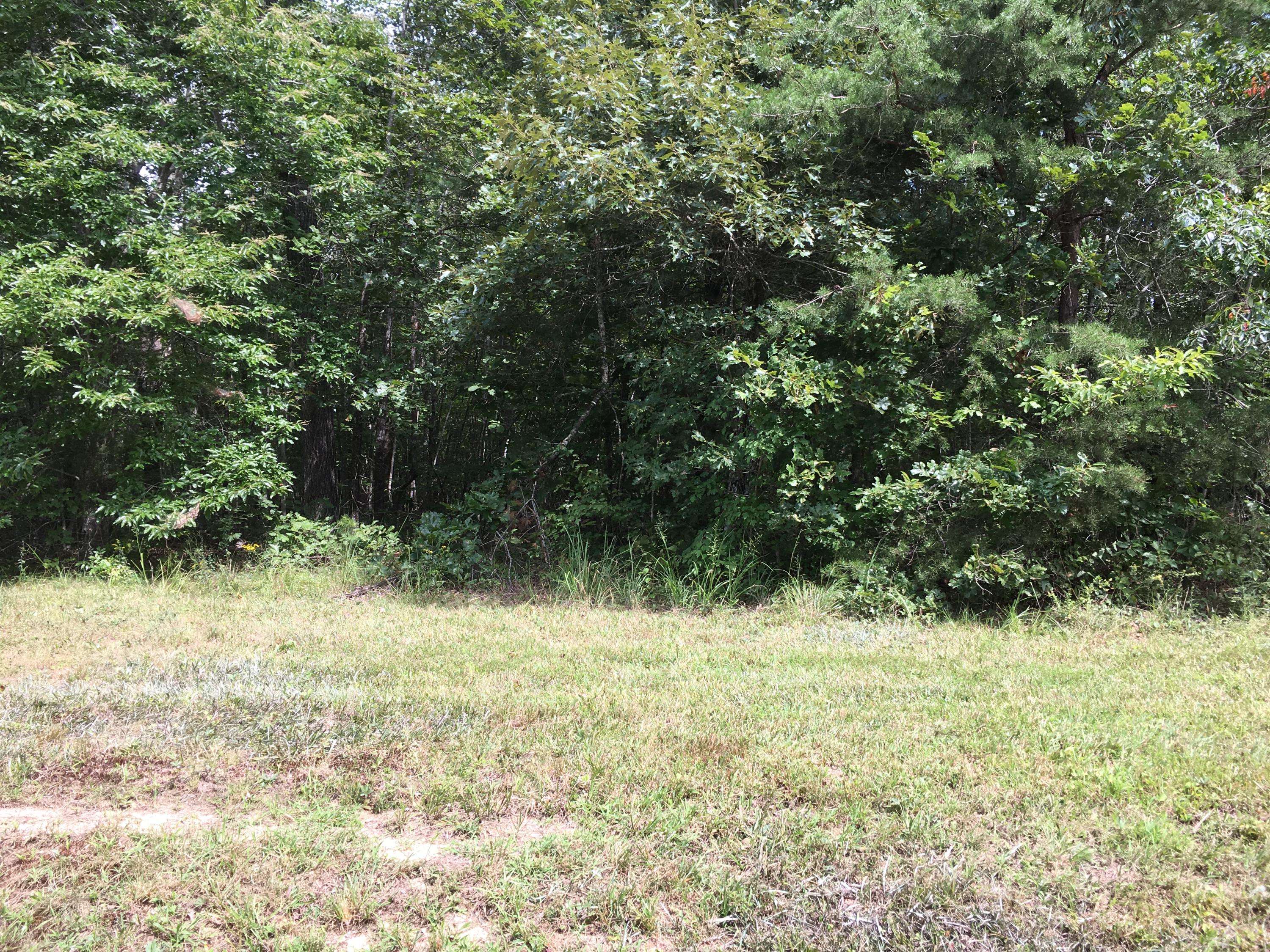 Sunbright, TN 37872,Crest View Dr