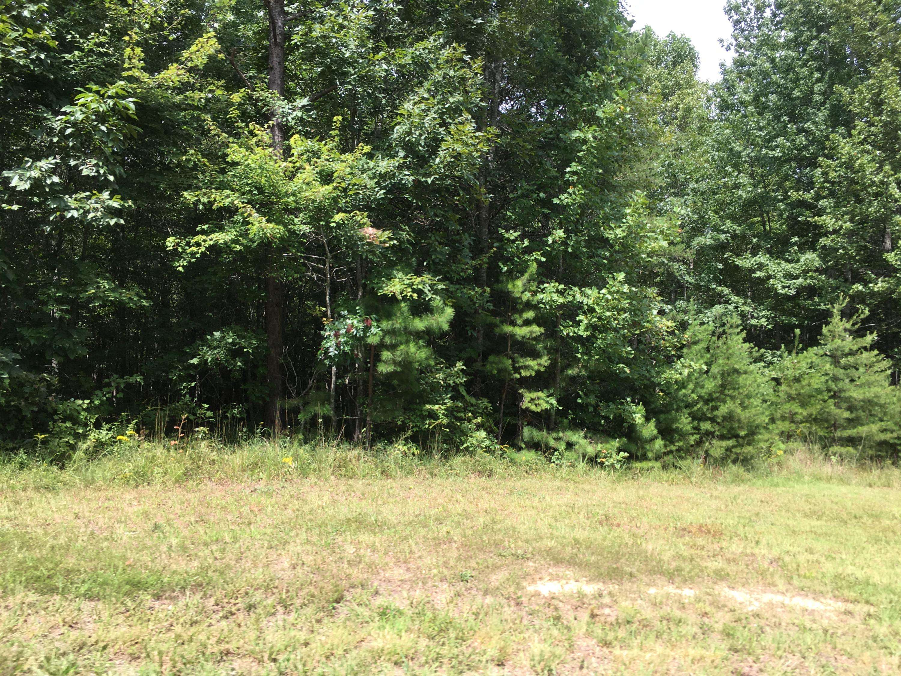 Sunbright, TN 37872,Crest View Dr