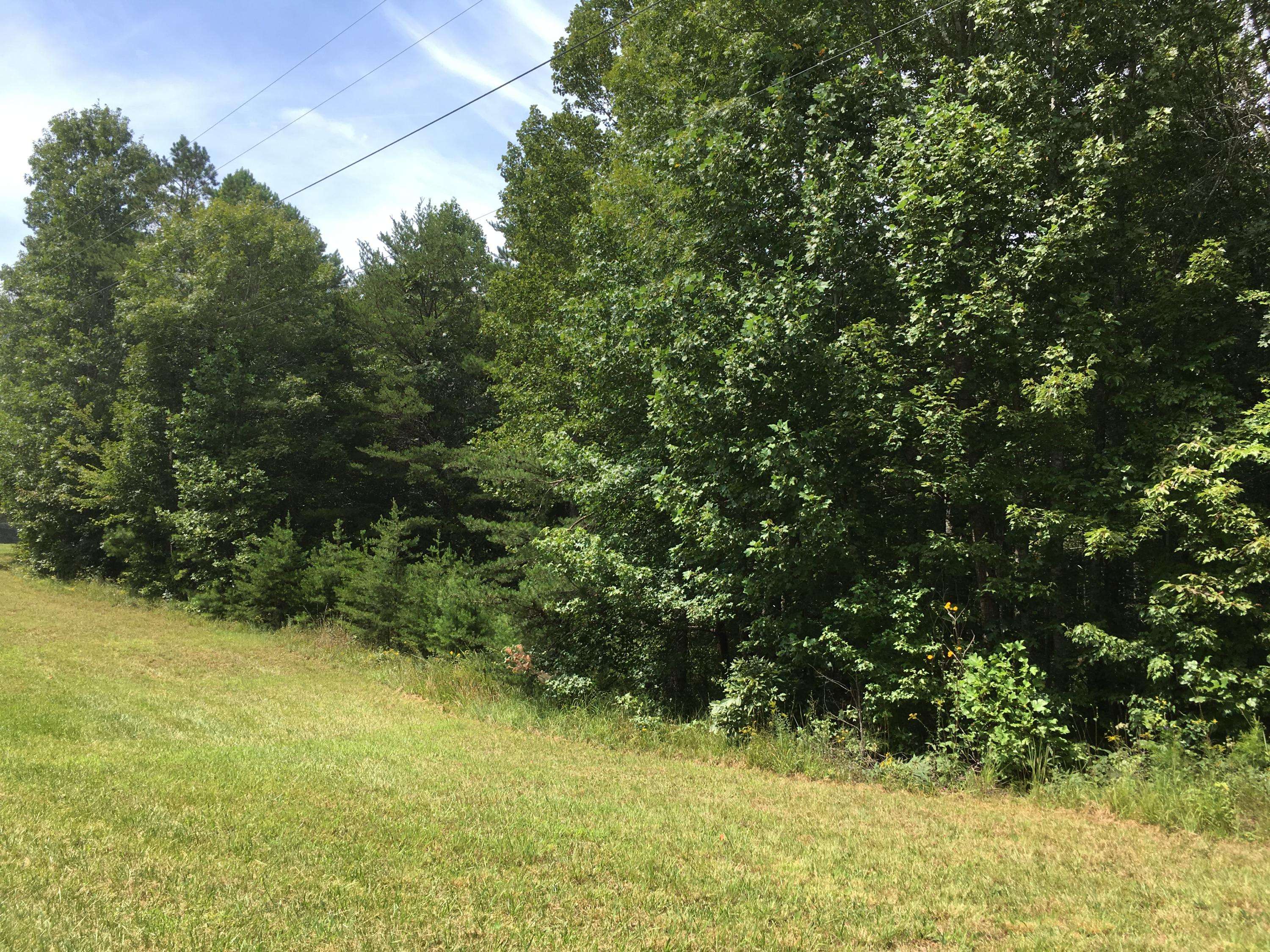 Sunbright, TN 37872,Crest View Dr