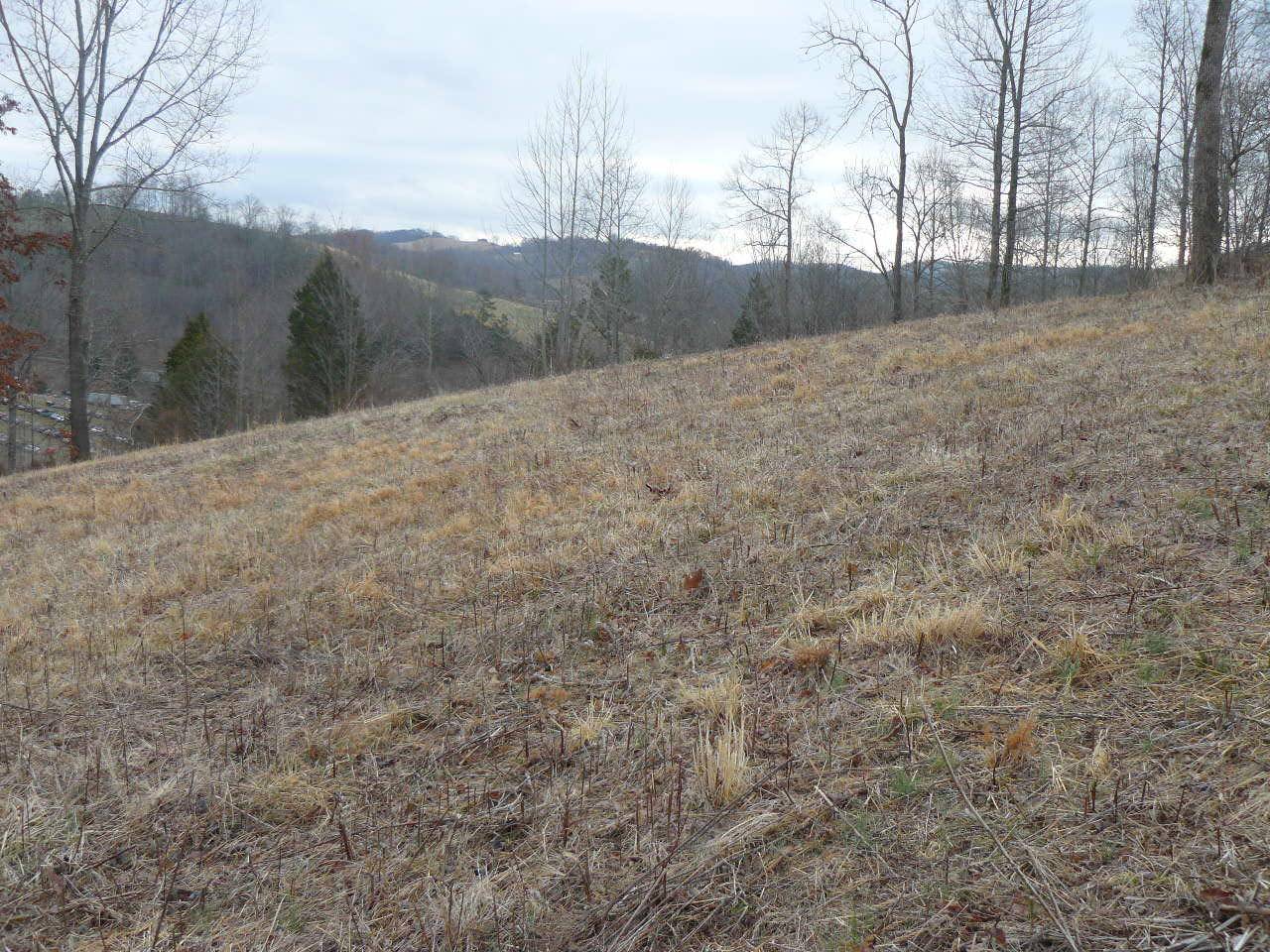 New Tazewell, TN 37825,Lot 55 Cingular DR