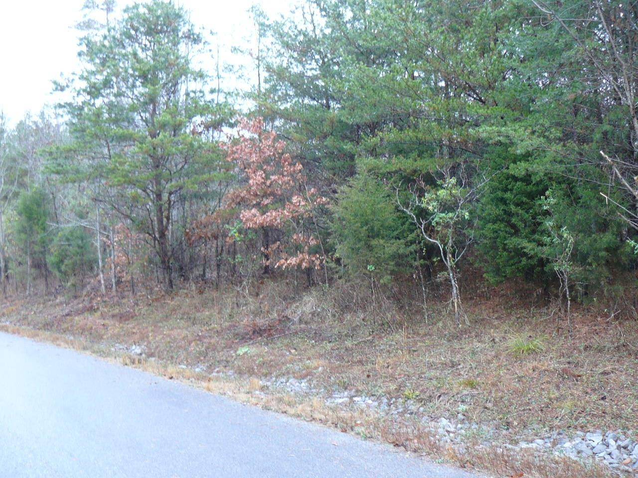 New Tazewell, TN 37825,Lot 118 Settlers Point Rd