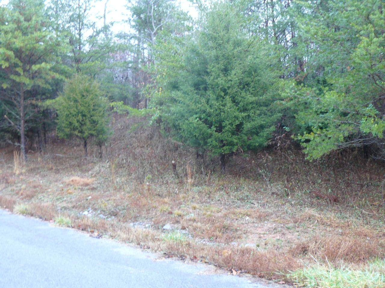 New Tazewell, TN 37825,Lot 118 Settlers Point Rd