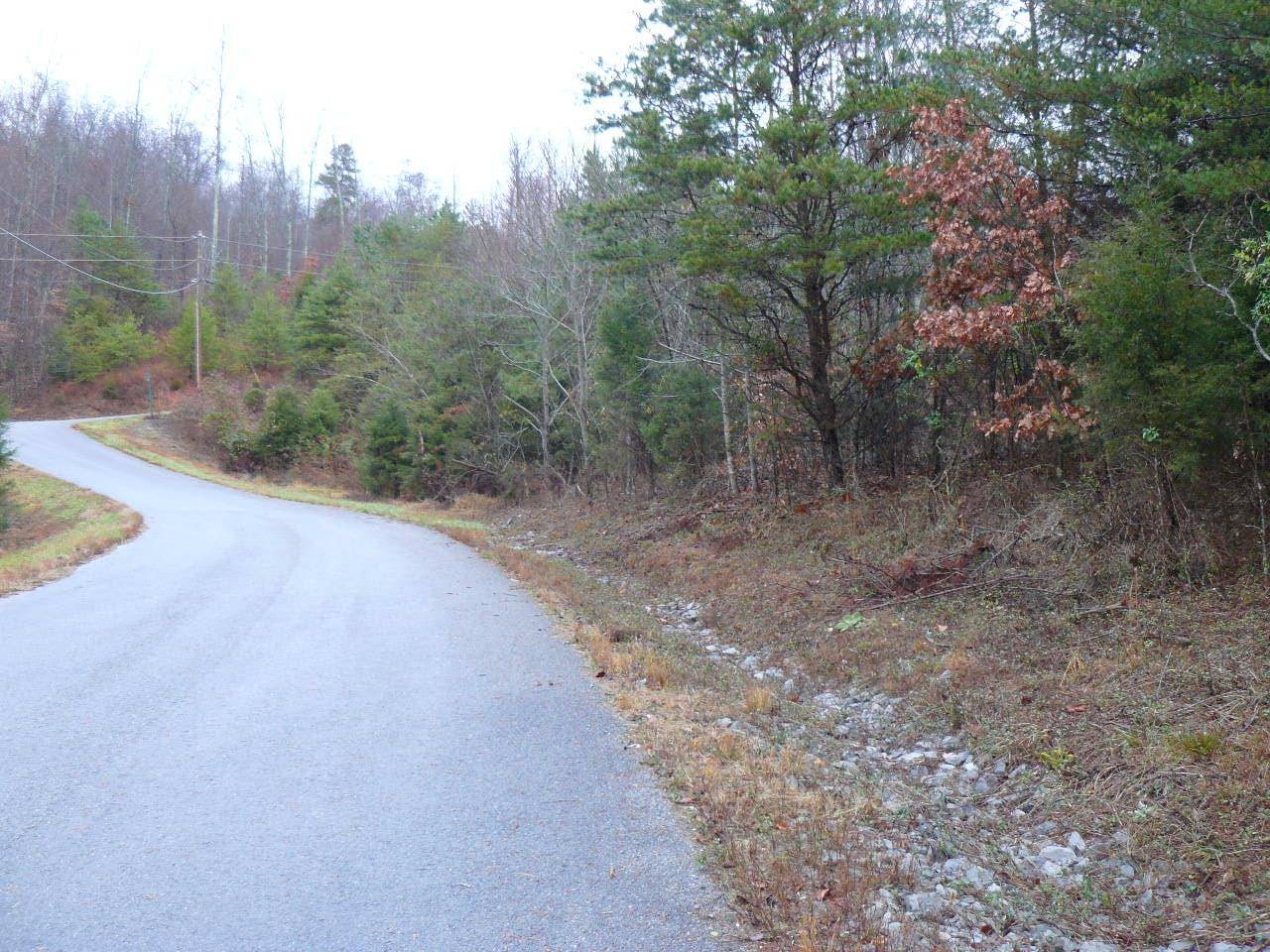 New Tazewell, TN 37825,Lot 118 Settlers Point Rd