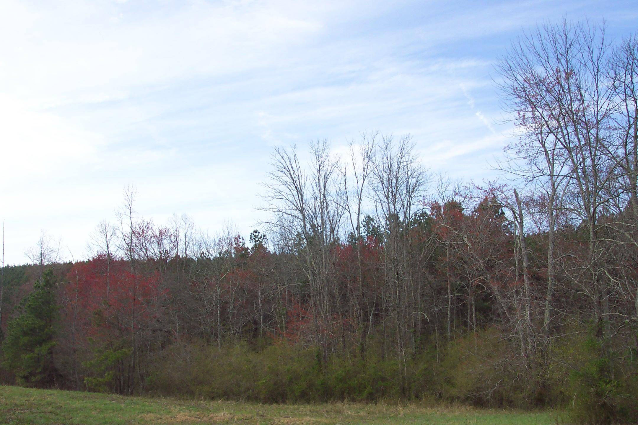 Sweetwater, TN 37874,5.04 Acres County Road 298