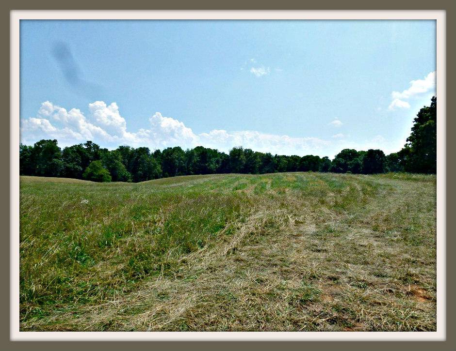 Dandridge, TN 37725,Lot 9 Burchfield Rd