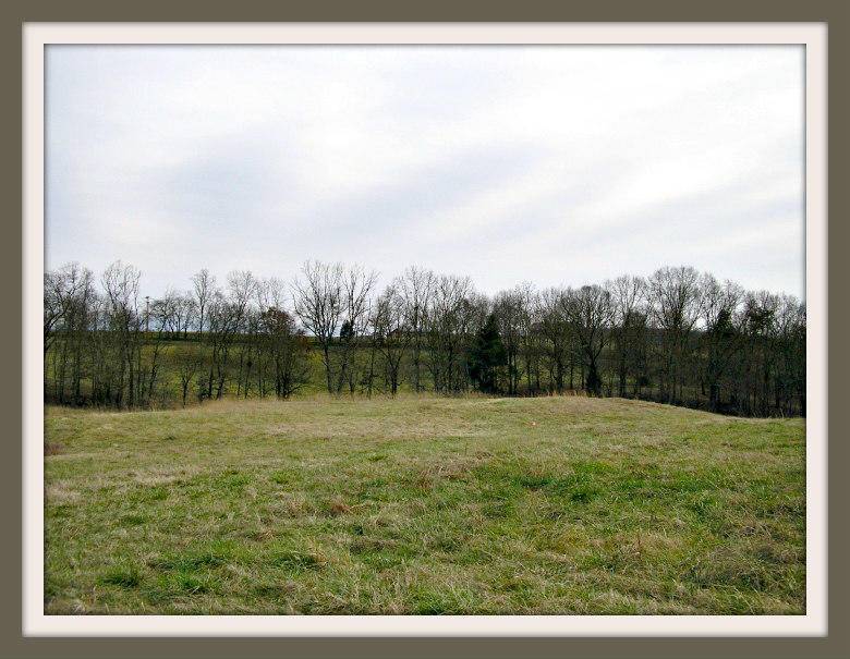 Dandridge, TN 37725,Lot 9 Burchfield Rd