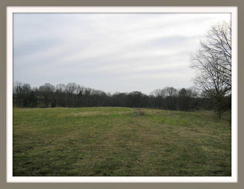 Dandridge, TN 37725,Lot 9 Burchfield Rd