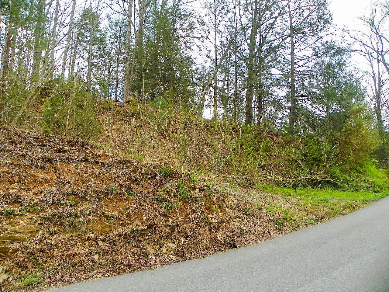 Sevierville, TN 37876,Lot# 1 Shady Grove Road