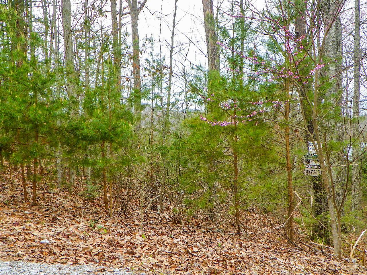 Sevierville, TN 37876,Lot# 2 Shadyview Ridge Road