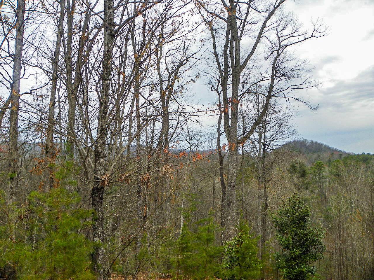 Sevierville, TN 37876,Lot# 2 Shadyview Ridge Road