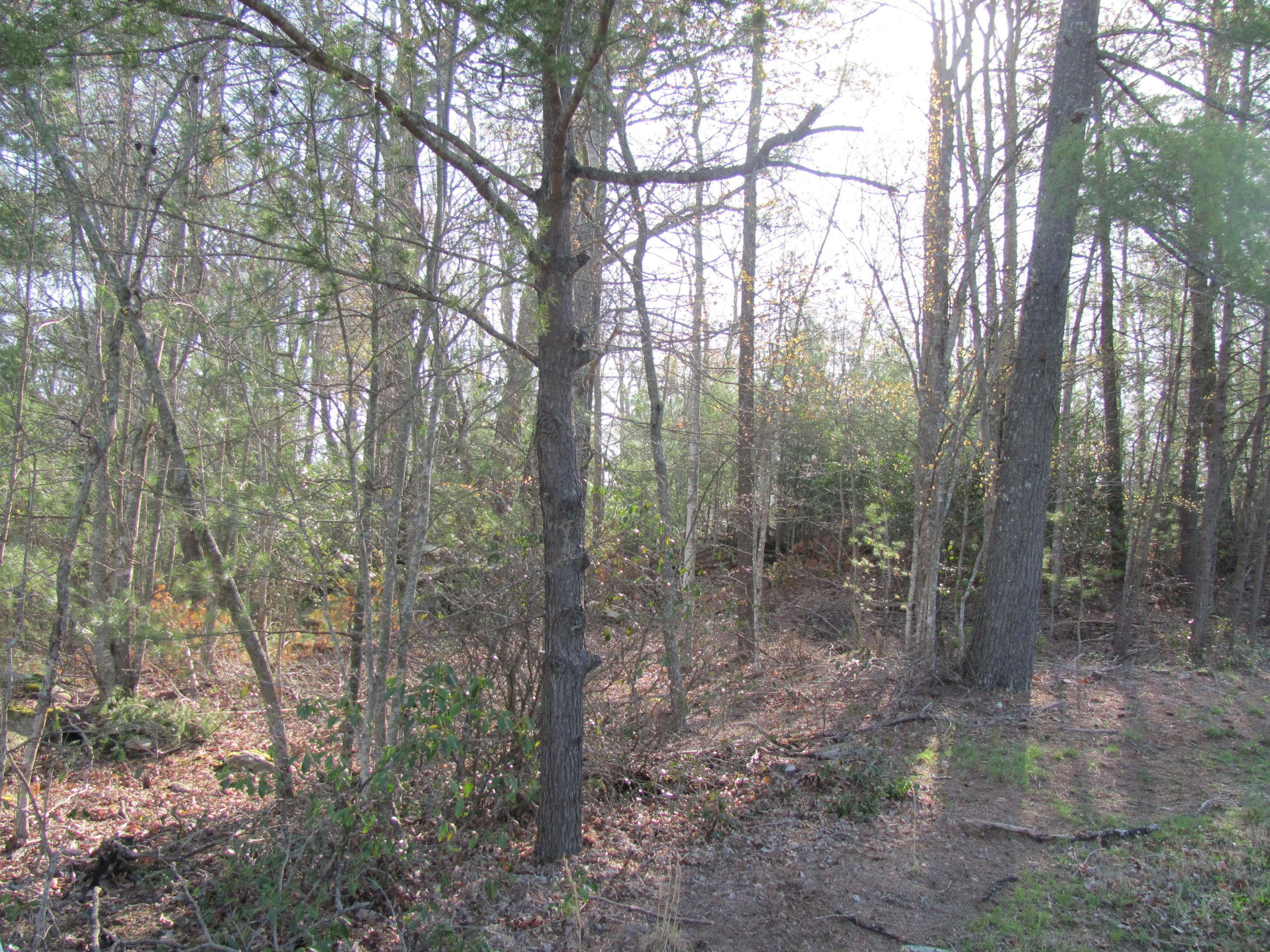 Fairfield Glade, TN 38558,Forest Hill CT