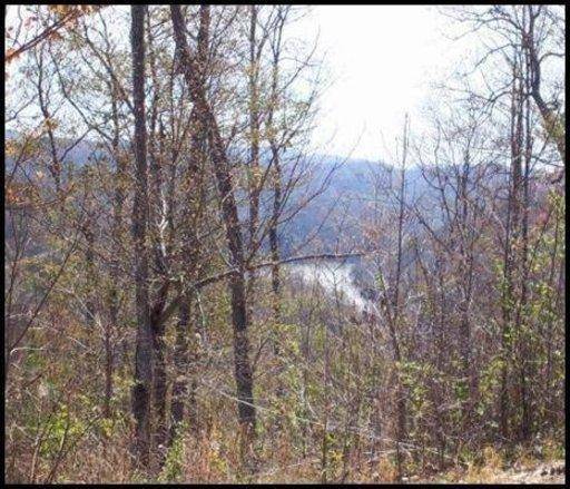 Tazewell, TN 37879,Lot 539 Whistle Valley Rd