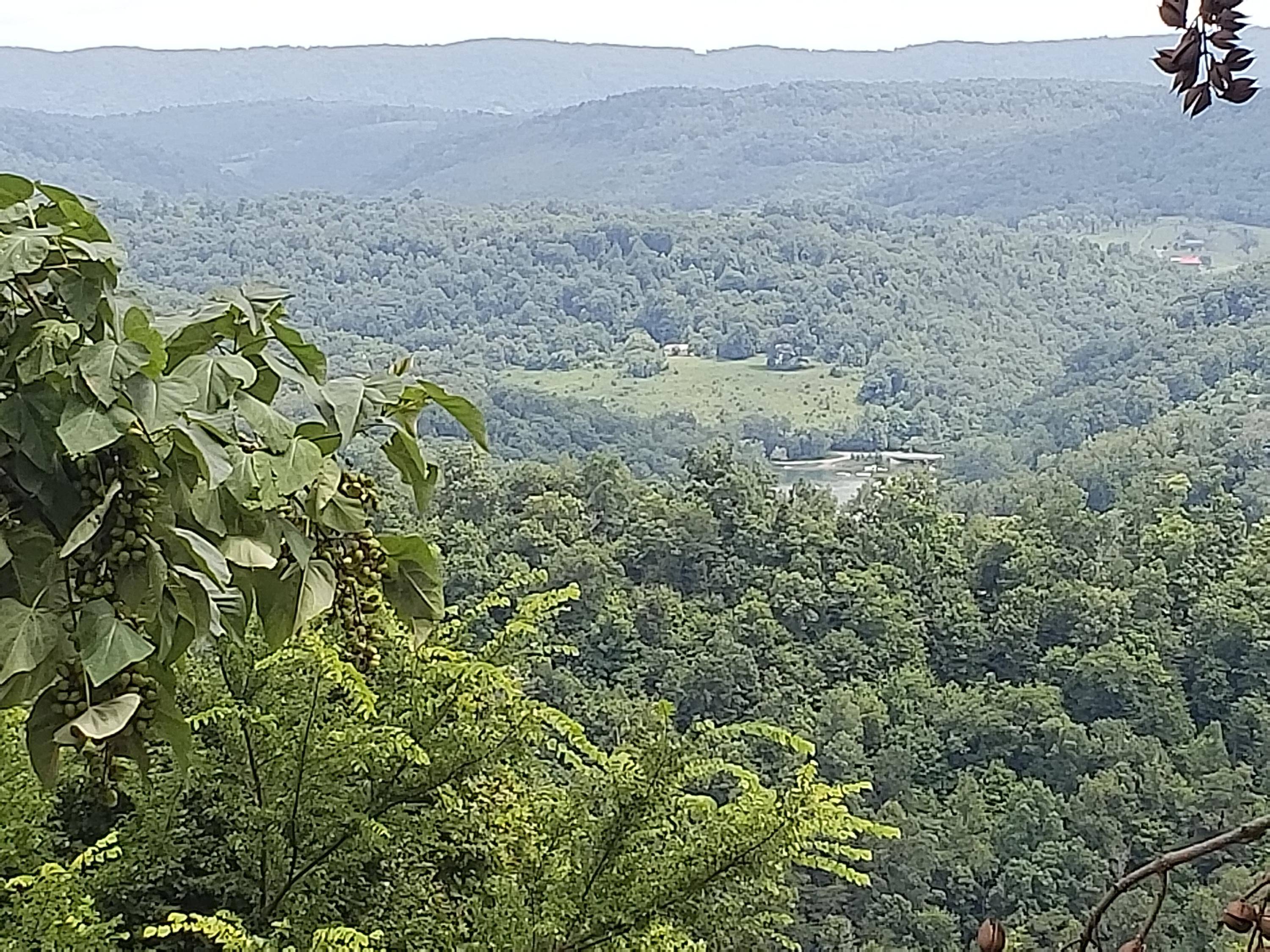 New Tazewell, TN 37825,Lot 652 Chimney Rock Rd